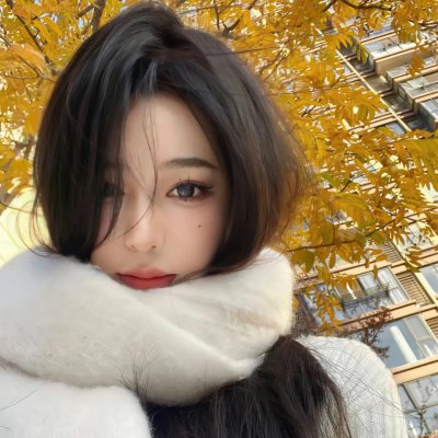 黑鹰计划